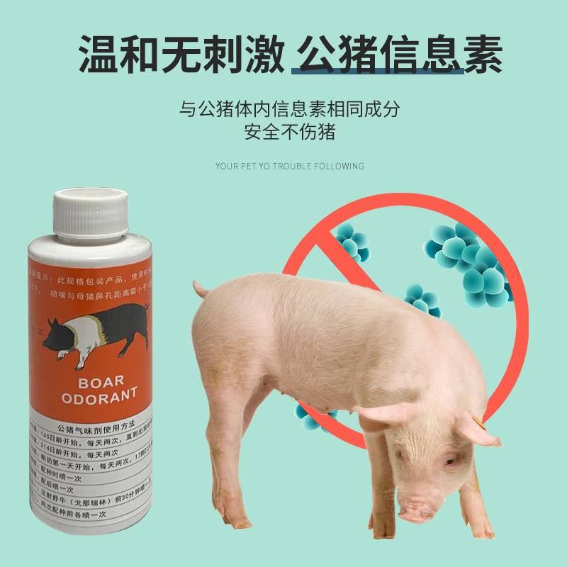 高档公猪气味剂猪用诱情剂荷尔蒙刺激母猪发情试情排卵喷雾剂兽用 - 图0