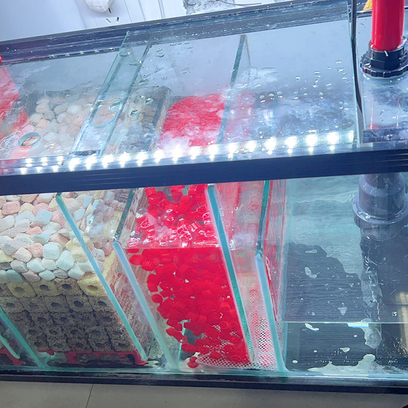 专业款鱼缸翻滚生化滤材流化床k1生物滤料水族箱水泵仓过滤材料,淘宝优惠券,粉丝福利购,淘宝优惠卷