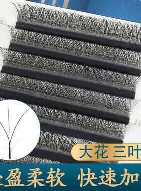 鹊杉大花三叶草睫毛嫁接外扩假睫毛不散根yy升级浓密开花柔软舒适