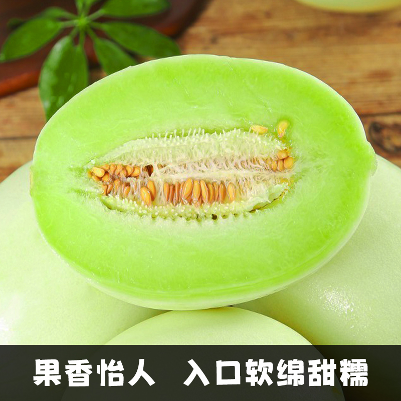 【香菇来了】山东玉菇甜瓜蜜瓜冰淇淋瓜当季新鲜现摘水果5斤包邮 - 图1