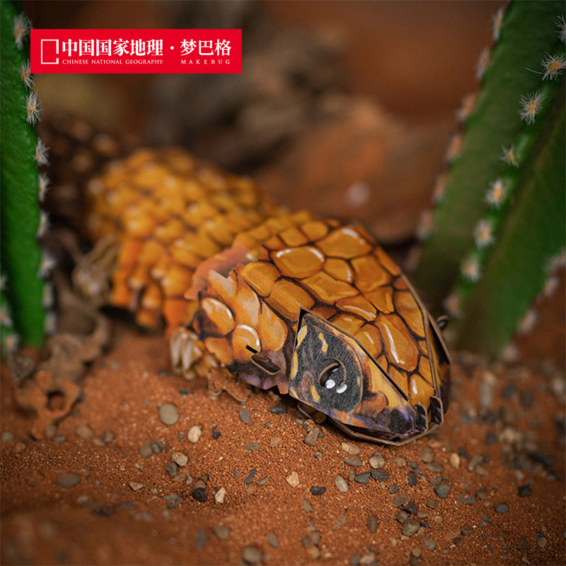 中国国家地理梦巴格 沙漠系列拼插纸模南非犰狳蜥100%牛皮纸浆,淘宝优惠券,粉丝福利购,淘宝优惠卷