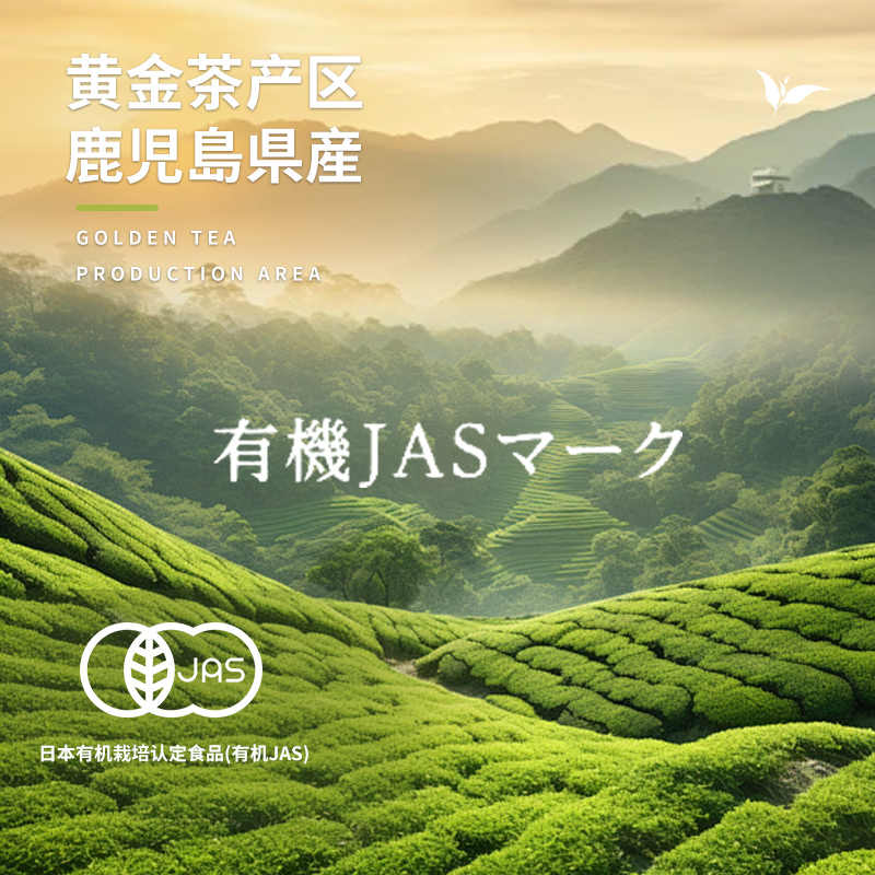 日本伊藤园抹茶粉有机茶粉直邮冷萃热泡冲饮无添加绿色儿茶素茶粉