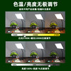 Jewelry live broadcast special lamp cultural and jade photography lamp