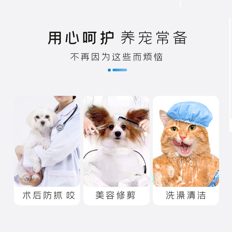 宠物伊丽莎白圈猫狗套头项圈防咬防舔脖套保护圈猫咪项圈狗狗头套 - 图0