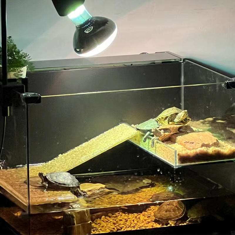 全光谱太阳灯万向灯架 乌龟晒背灯夹缸夹周转箱灯架 高度可调加宽 - 图2