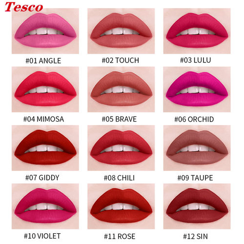12 Colors Mini Matte Lip Gloss Lip Glaze Lipstick makeup口红 - 图0