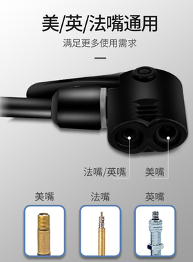 百威狮打气筒自行车高压便携小型家用电动摩托电瓶车篮球充气筒