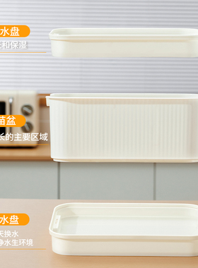 豆芽发盆神器家用水培蔬