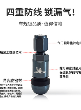 米其林汽车轮胎气门嘴轮毂真空胎铝合金气门芯套装轮胎帽盖原厂