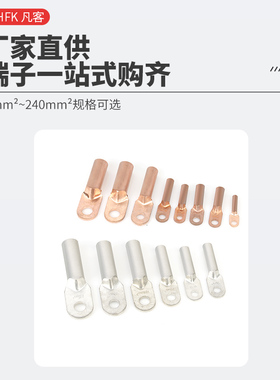 国标DT-10平方铜鼻线鼻子接线鼻接线端子凡客铜线耳堵油铜接头A级