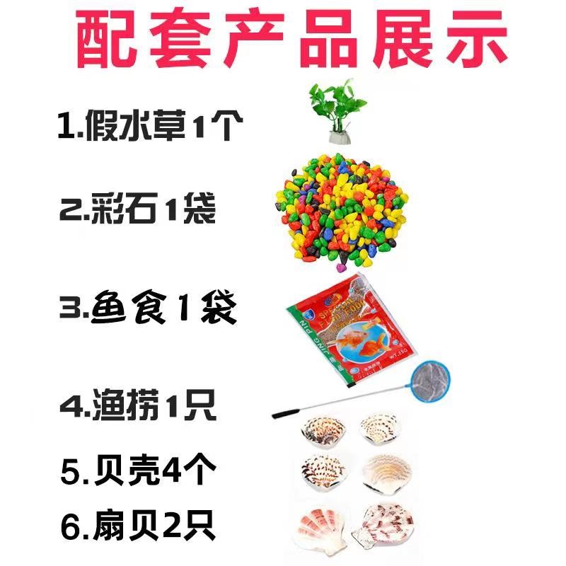 小鱼缸客厅小型乌龟金鱼缸桌面透明龟缸家用水培器皿植物花盆容器 - 图2