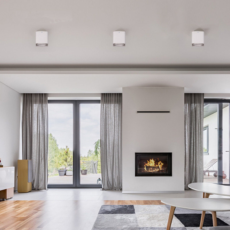 Surface-mounted double-head spotlight led ceiling lamp ceiling-type bold lamp living room downlight bedroom square no main light lighting