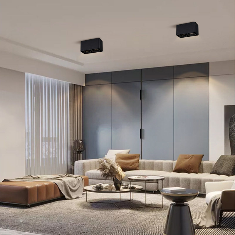 Surface-mounted double-head spotlight led ceiling lamp ceiling-type bold lamp living room downlight bedroom square no main light lighting