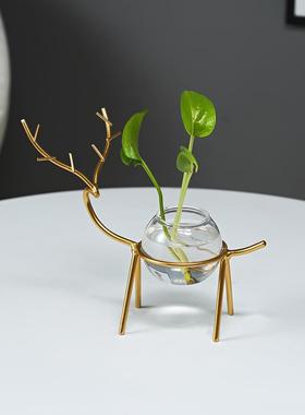北欧桌面水培花盆摆件办公桌客厅多肉绿萝水养植物花瓶装饰摆设