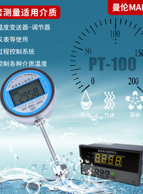 数显温度计带探头WST/DTM-491高精度电子工业防水数字水温表油温