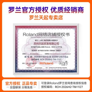 Roland罗兰ex音箱CUBE户外舞台路演卖唱乐器吉他弹唱K歌直播音响