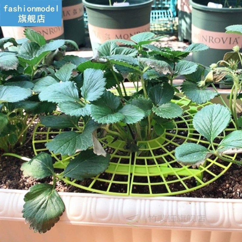 Polypropylene Strawberry stand Garden Strawberry Vine Stand - 图0