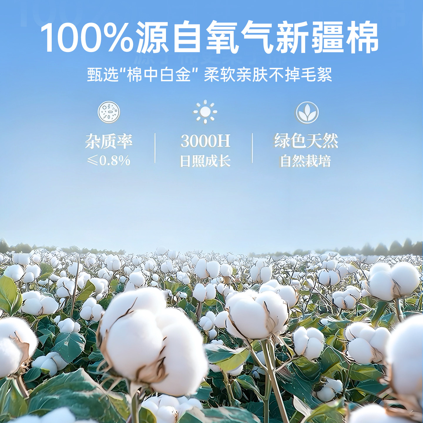 洗脸巾全棉一次性棉柔巾婴儿擦脸巾壁挂式加大加厚纯棉母婴洁面巾,淘宝优惠券,粉丝福利购,淘宝优惠卷