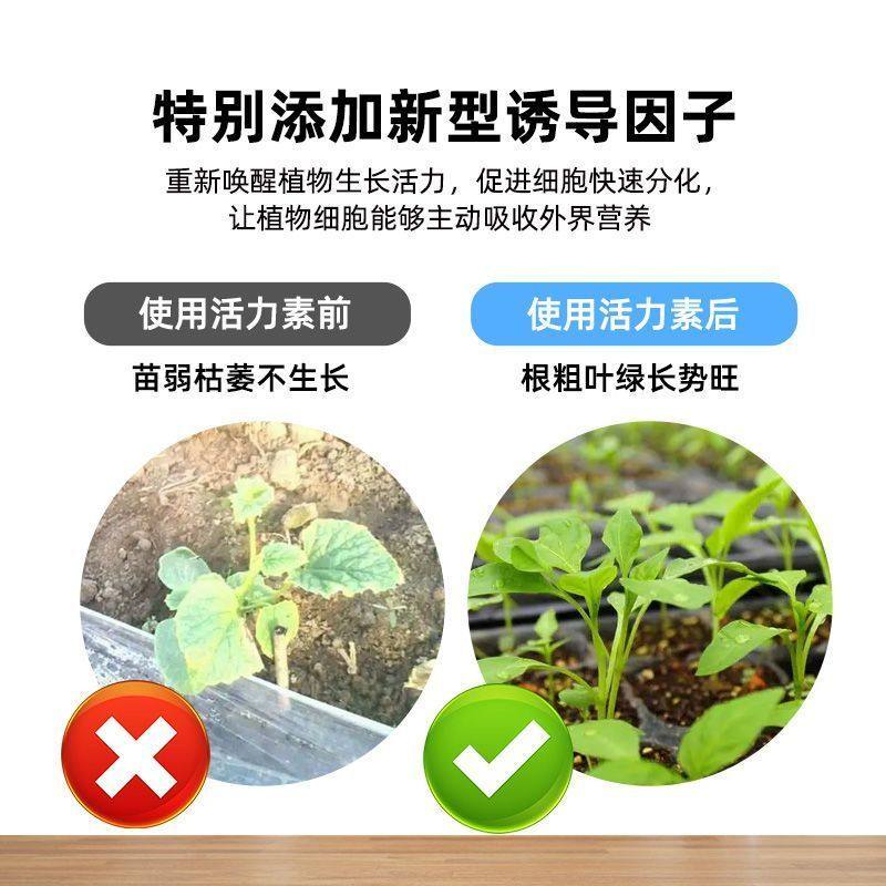植物活力素通用型花卉营养液快速生根壮苗剂绿植通用型营养液,淘宝优惠券,粉丝福利购,淘宝优惠卷