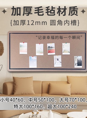 毛毡板照片背景墙贴室内装饰墙面