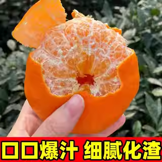 正宗甘平柑橘皇后礼盒当季新鲜水果蜜橘子纯甜小金桔子非粑粑柑,淘宝优惠券,粉丝福利购,淘宝优惠卷