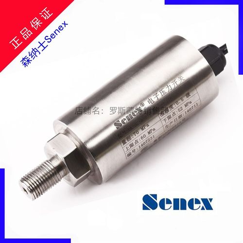 高精度DG1210-BZ-A-2-2/CJ/AM/GZ森纳士不锈钢压力变送器蒸汽调节 - 图1