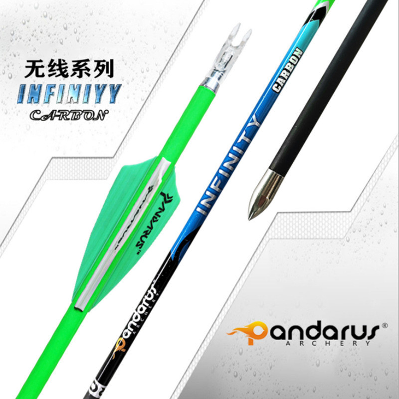 纯碳箭潘神系列鹰隼复合弓反曲弓射箭馆竞技比赛多款颜色挠度可选 - 图3