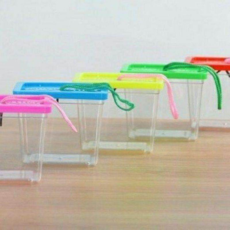 手提乌龟缸金鱼缸塑料运输盒宠物饲养爬虫盒子大中小透明小仓鼠盒,淘宝优惠券,粉丝福利购,淘宝优惠卷