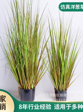 ins风格仿真绿植盆栽仿真植物落地装饰品摆件仿真芦苇洋葱草家居