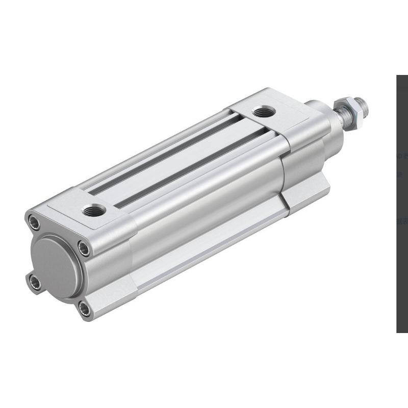 DSBC-40-50-PPSA-N31376905标准气缸 - 图1