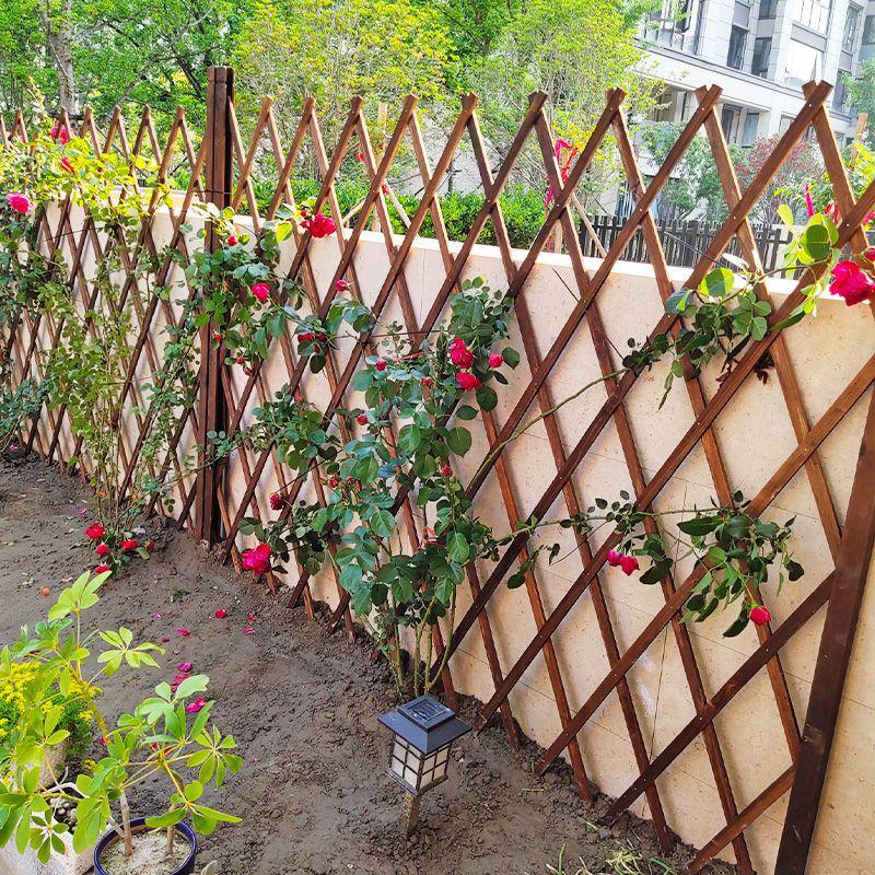 爬藤花架防腐木栅栏户外庭院花园篱笆围墙护栏装饰插地伸缩赵之周 - 图0