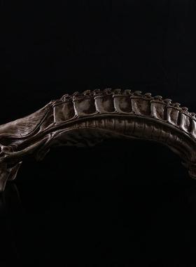 大异形头骨模型树脂骷髅头办公室摆件收藏礼品万圣节创意居家摆件