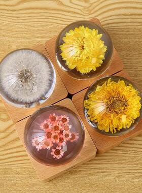 严选创意蒲公英触控水晶球小夜灯轻奢氛围灯床头树脂工艺品摆件