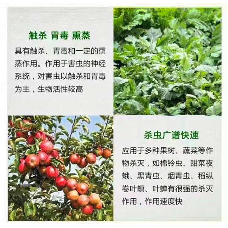 蜗螺净农药蜗牛特效药庭院菜地鼻涕虫专用杀虫剂福寿螺蛞蝓一喷净