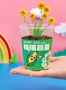 薄利多销幼儿园种植盆栽盲盒儿童