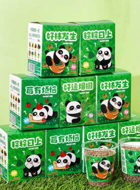 可爱熊猫种植盆栽盲盒桌面植物小