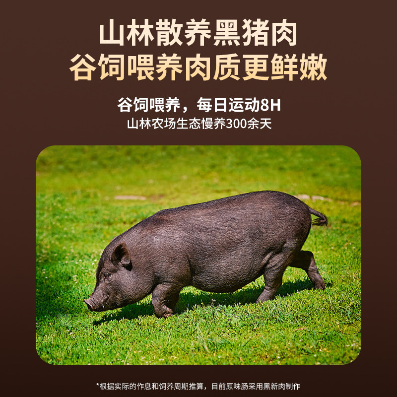 嘉之派火山石烤肠黑胡椒原味空气炸锅食材爆汁黑猪肉儿童潮汕肉肠,淘宝优惠券,粉丝福利购,淘宝优惠卷