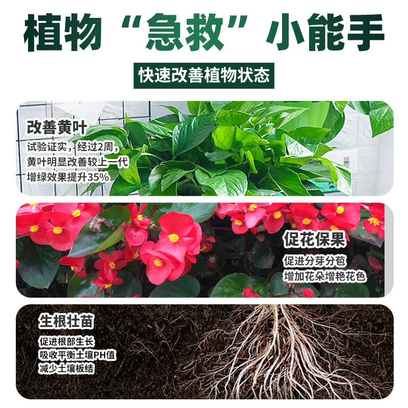 营养液植物发财树绿萝三角梅花卉室内盆栽绿植多肉花肥-图3