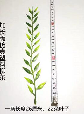 仿真小尤加利杨柳条小春草ins绿植家居装饰鱼缸插花配件冷菜摆盘