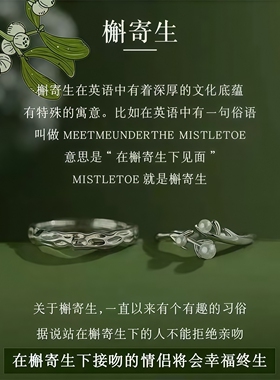 槲寄生情侣款戒指礼物送女朋友