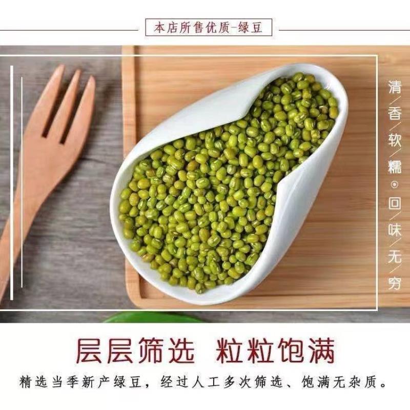 东北新货农家绿豆绿豆糕新鲜易熟易烂绿豆汤绿豆沙发芽豆笨绿豆子 - 图2