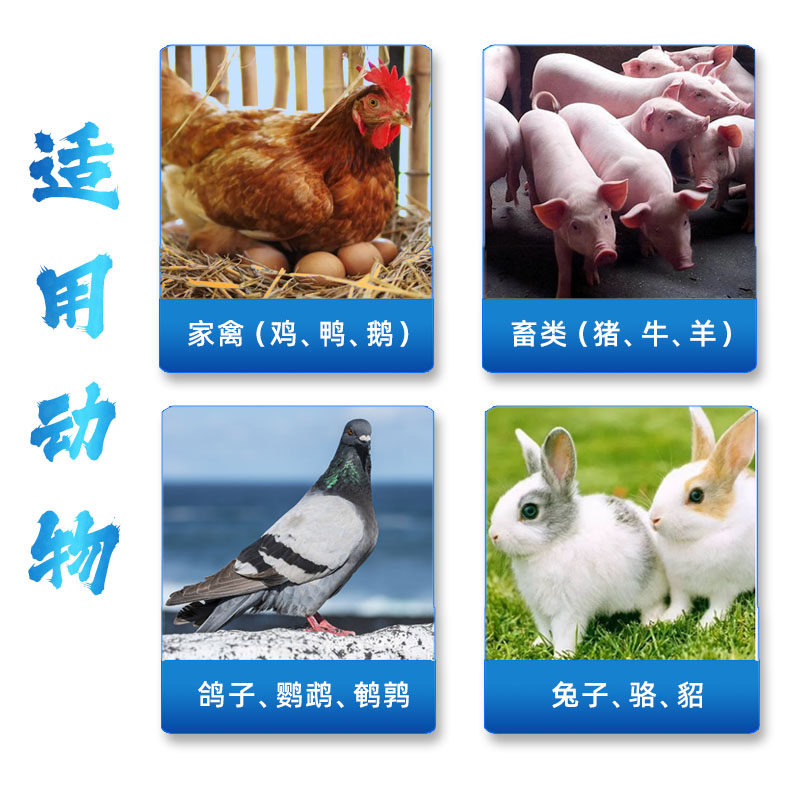 参芪金维他兽用复合多维猪牛羊鸡鸭鹅鸽子狗黄金维生素饲料添加剂,淘宝优惠券,粉丝福利购,淘宝优惠卷