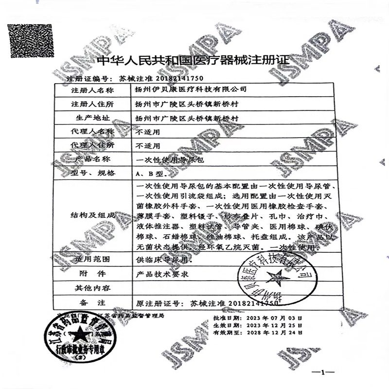 医用一次性导尿包无菌使用医用双腔导尿管成人男用女用家用导尿管 - 图2