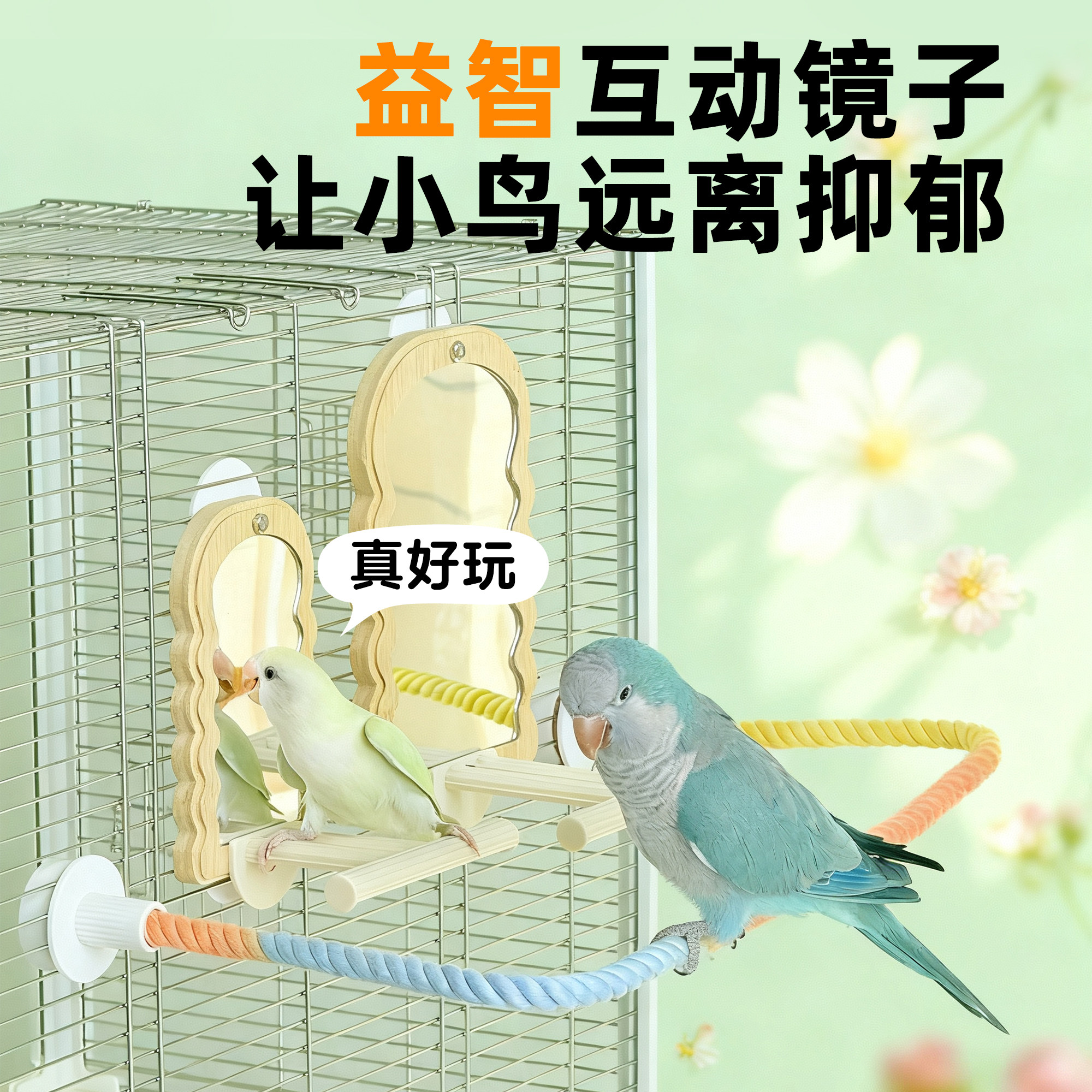 刺星球鹦鹉镜子楠竹加厚自然挂笼镜虎皮牡丹玄凤镜子木站杆鸟笼,淘宝优惠券,粉丝福利购,淘宝优惠卷