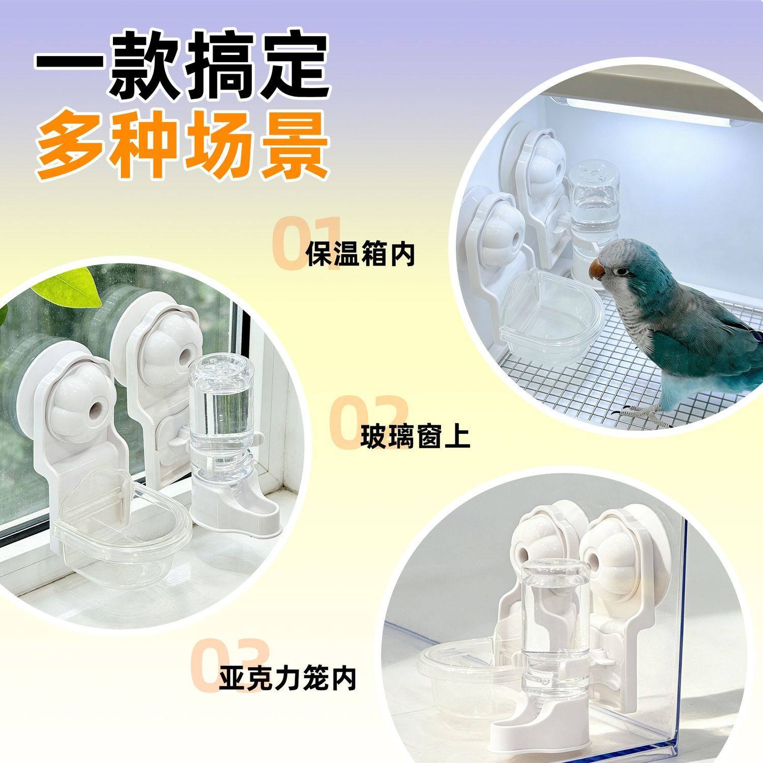 鹦鹉吸盘水壶学吃食盒鸟类防溅撒食盆保温箱吸盘食槽水碗免打孔,淘宝优惠券,粉丝福利购,淘宝优惠卷