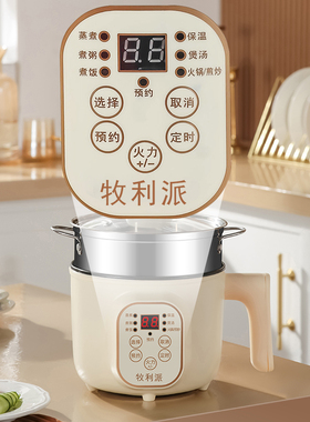 电煮锅多功能家用迷你一体型电锅