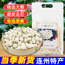 2023 New Ninglotus seed Flagship Store Lotus Seed Dry Goods 500g Tgrade Chinese herbal medicine Go to the core No sulphur to cook the soup