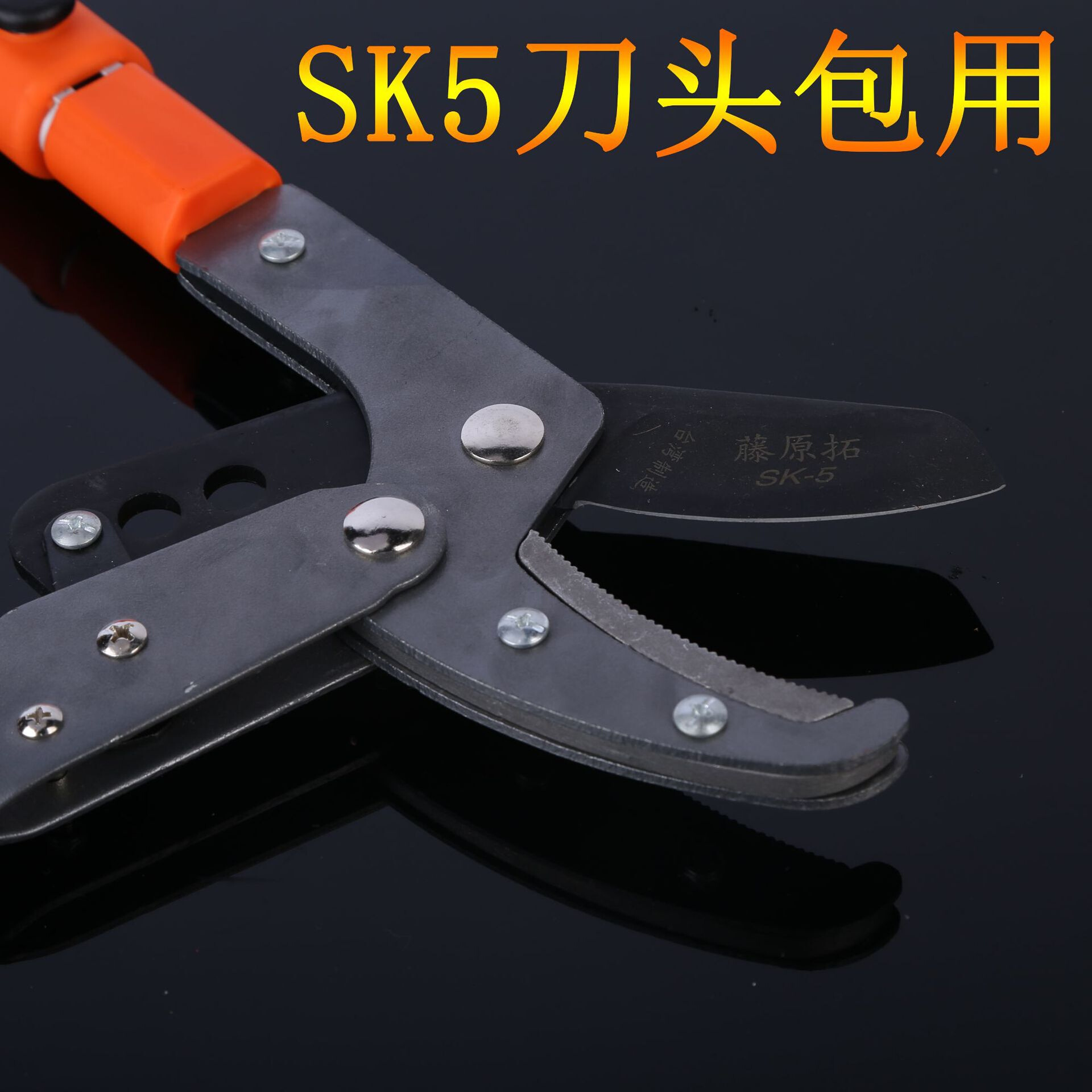 供应伸缩大力剪粗枝剪园林果树剪树枝剪园林剪省力剪果枝高枝 - 图2