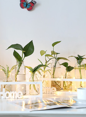 北欧ins玻璃花瓶摆件创意水培植物透明器皿装饰实木木架清新