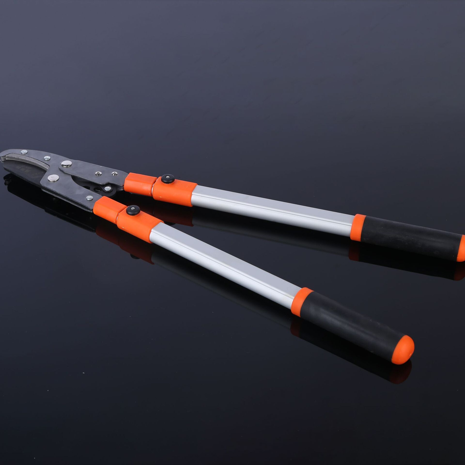 供应伸缩大力剪粗枝剪园林果树剪树枝剪园林剪省力剪果枝高枝 - 图3